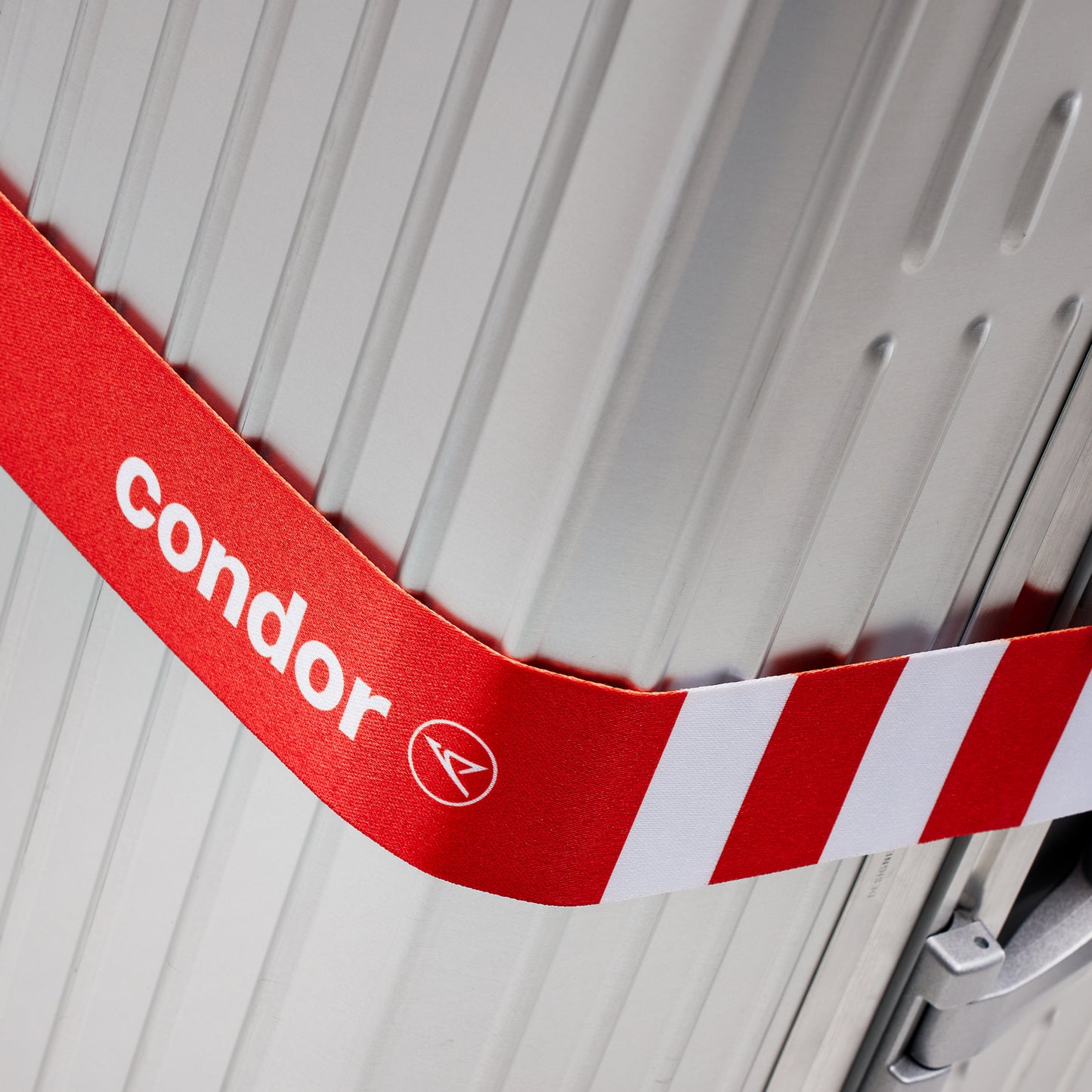 Koffergurt Condor Passion