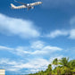 A1 Poster "A330neo Beach Dominican Republic"